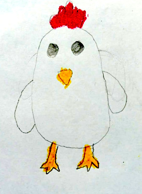 ayam2